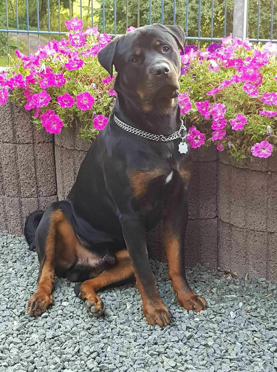 37511949-1752853881466022-1406065687327145984-o