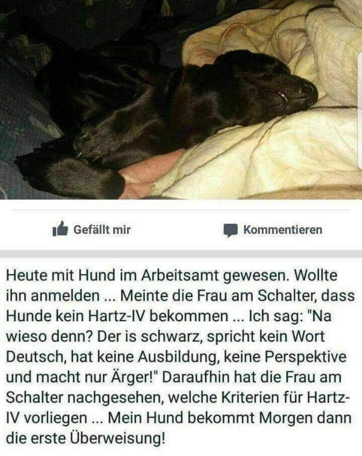 8f26e6ac-26a1-48cd-97b6-ccfa02cbf176