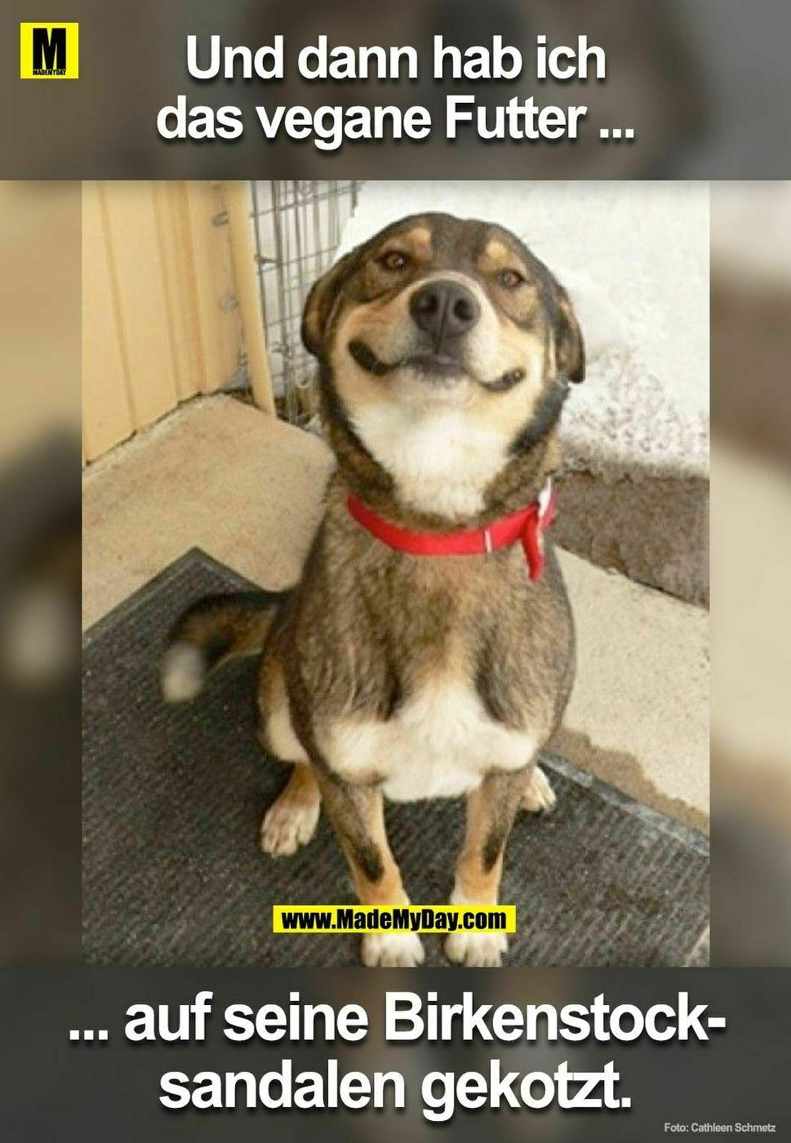 2b0538ab8b12cedeed37b0b675cb49be