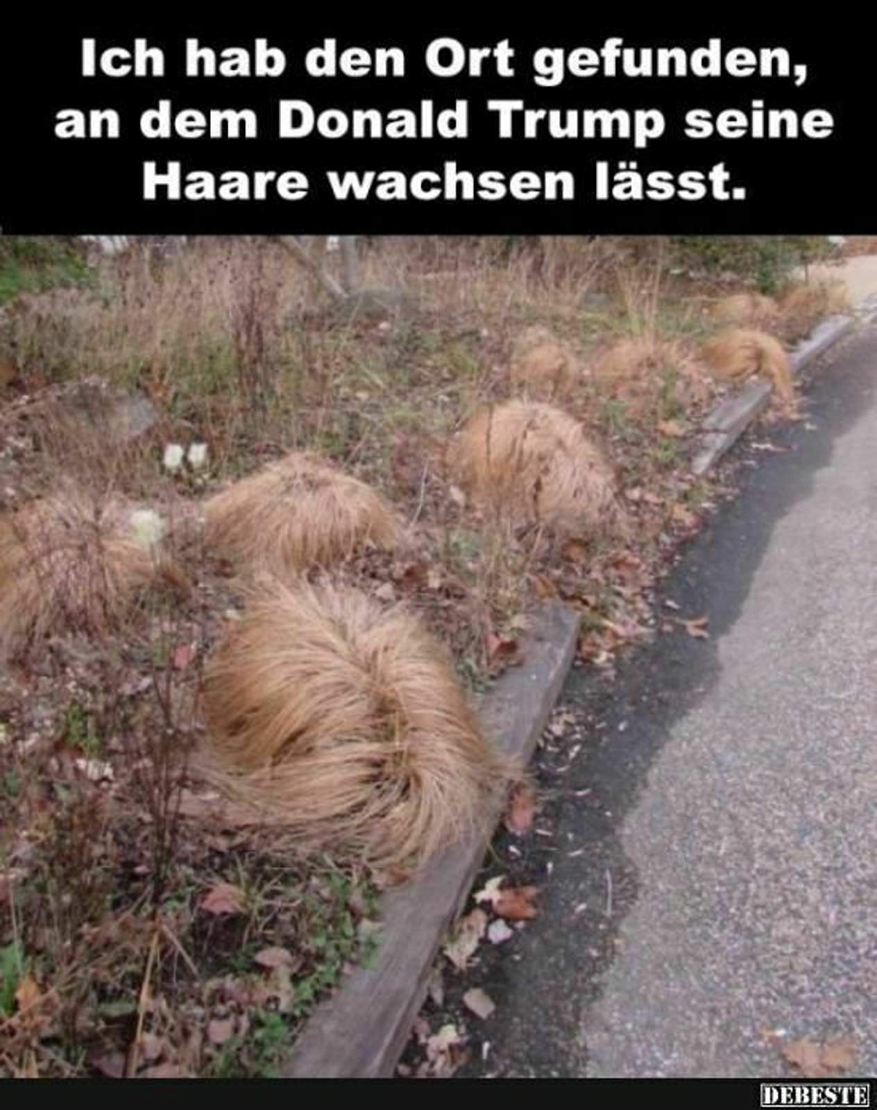 01db02124f56972eaea70b2d00c1777d