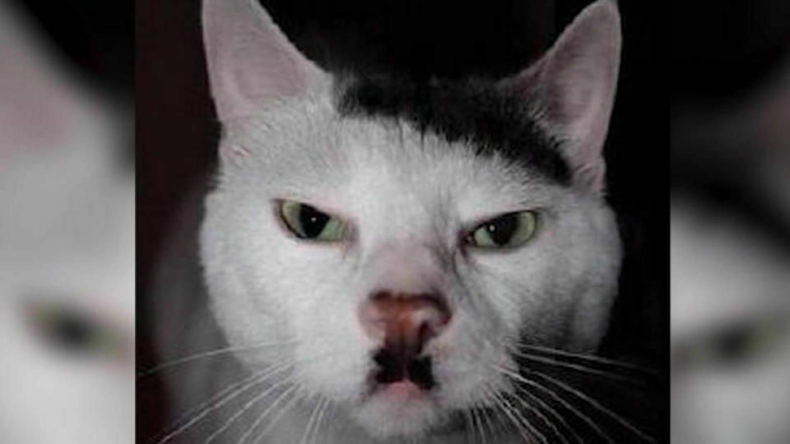 s6g7bytd2fgg5f66myxwk4tt2q