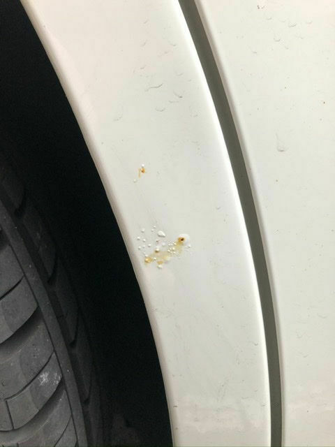 Rost am GLK, Problem mit Kulanz