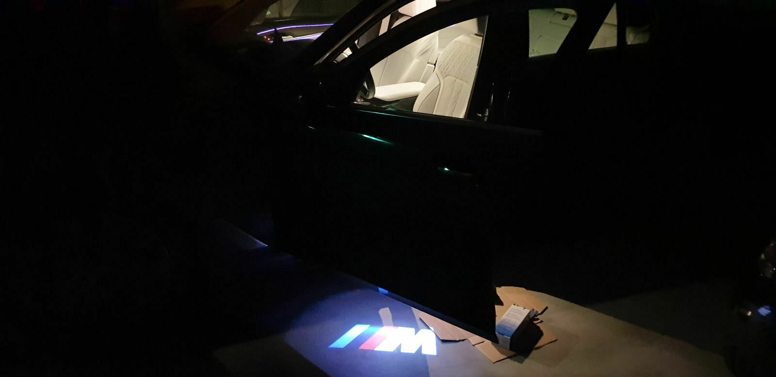 BMW LED Türprojektoren