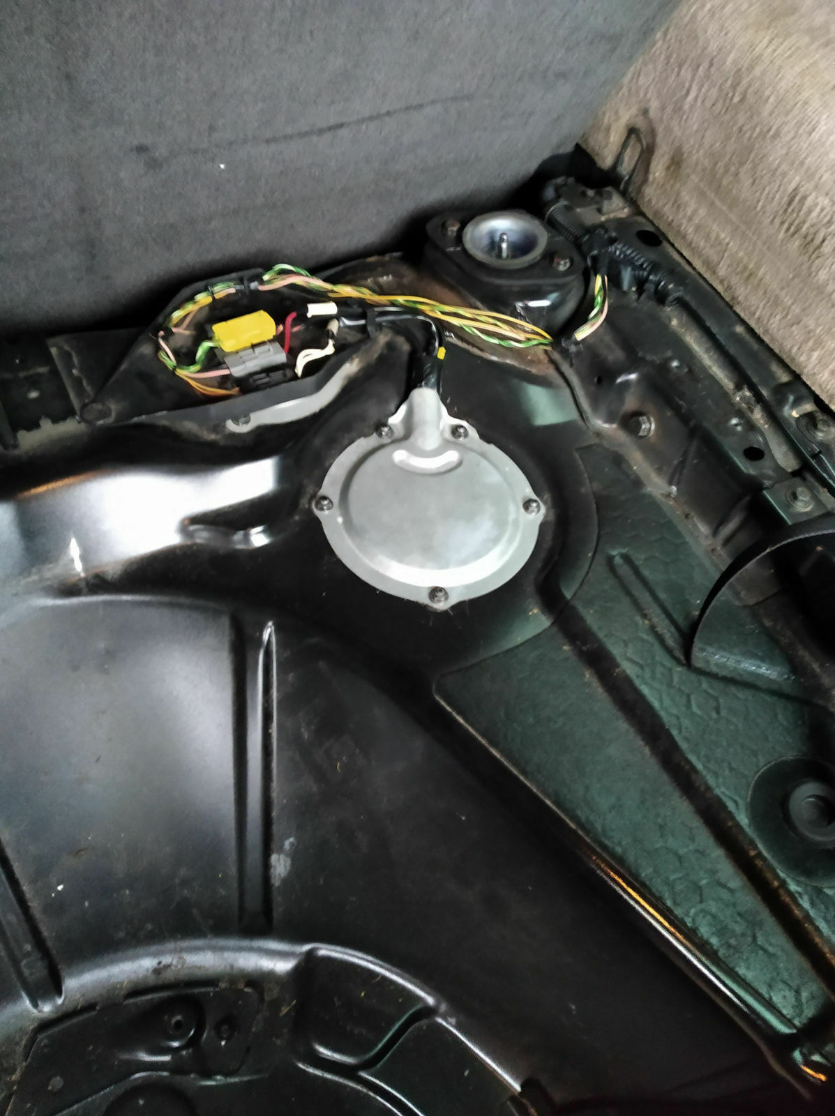 Was habt ihr eurem Elch heute Gutes getan