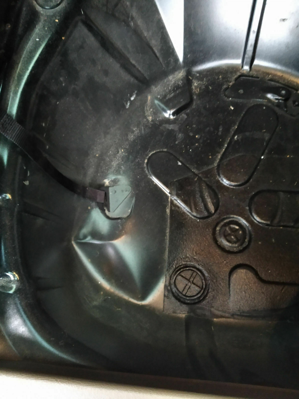 Was habt ihr eurem Elch heute Gutes getan