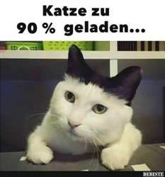 3687c23c3b1bd8cac08f2570c65979c1