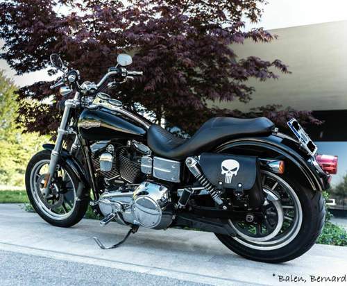 Inkedharley-23042020-li