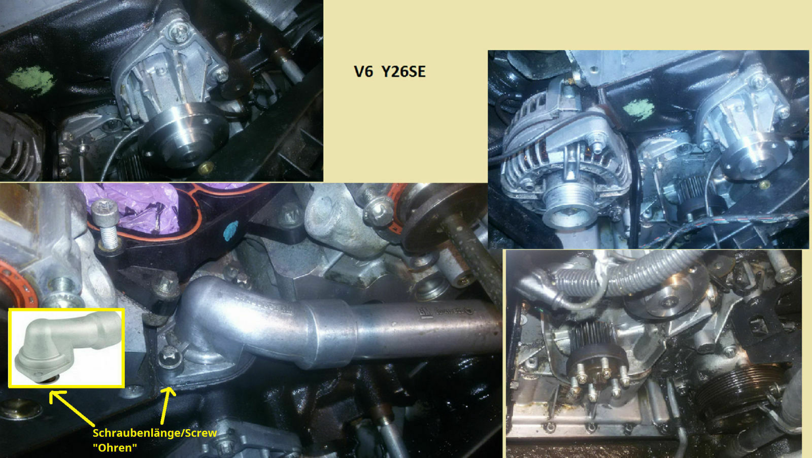 Omega B - X25XE - Bekomme den Thermostat nicht heraus?