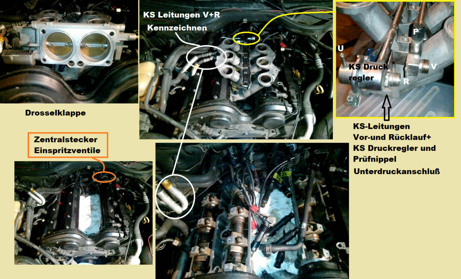 Omega B - X25XE - Bekomme den Thermostat nicht heraus?