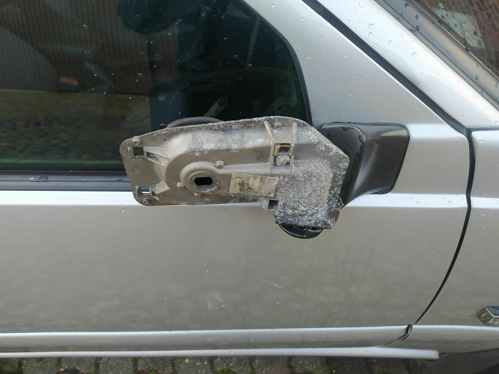 Was habt ihr eurem Elch heute Gutes getan