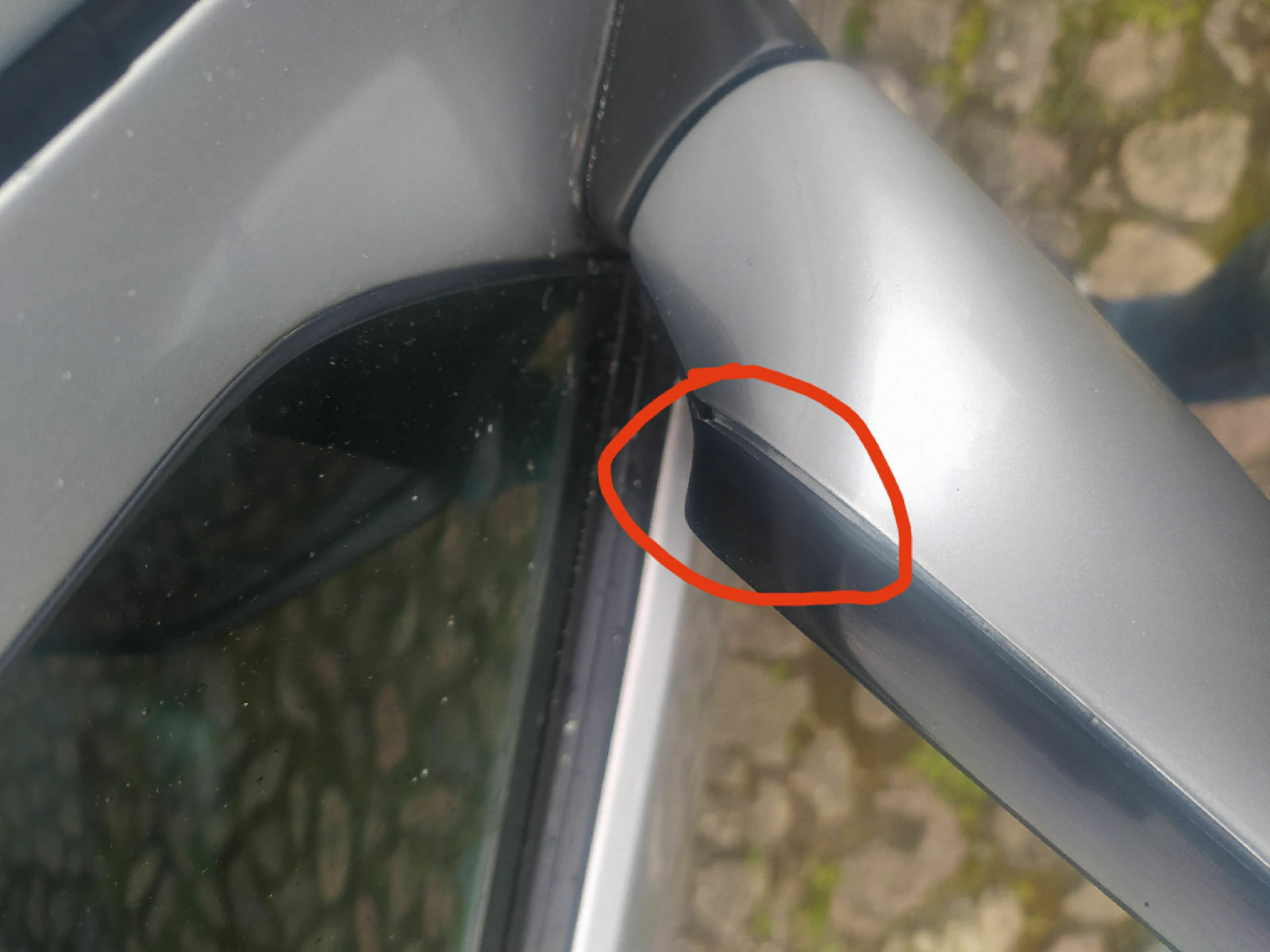 Was habt ihr eurem Elch heute Gutes getan