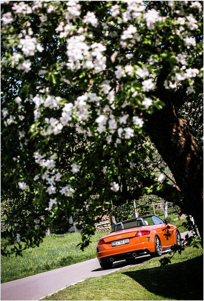 Sammelthread Audi TT/TTS/TTRS Bilder