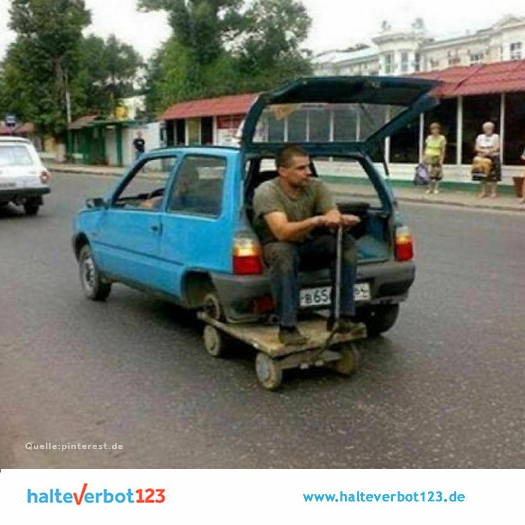 Was habt ihr eurem Elch heute Gutes getan