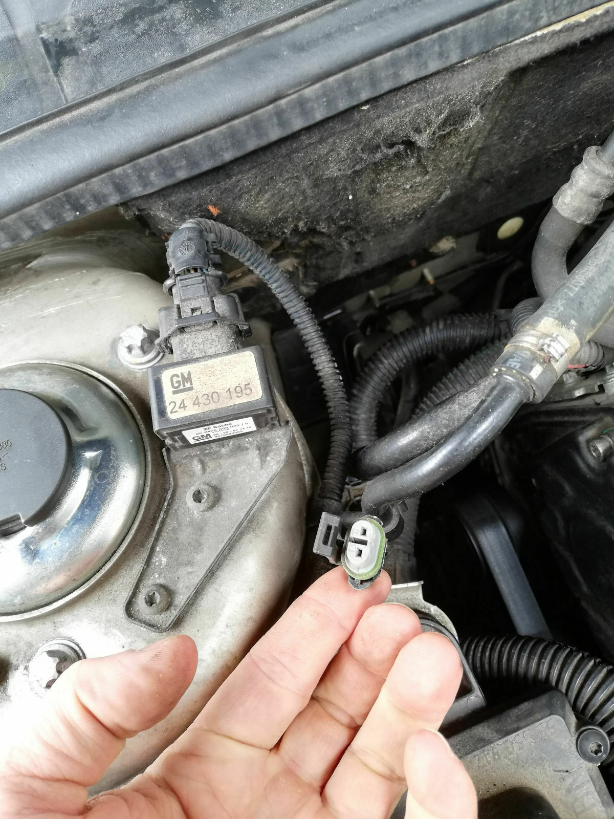 Opel Signum (Z19DTH) - IDS+ Lampe leuchtet dauerhaft