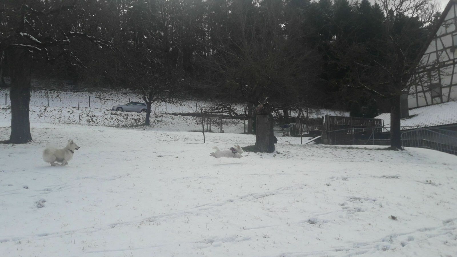 Der große 4G Community- Thread: Es regnet, es ist kalt, ich hab´den Blues - und dann sitz´ich im A6