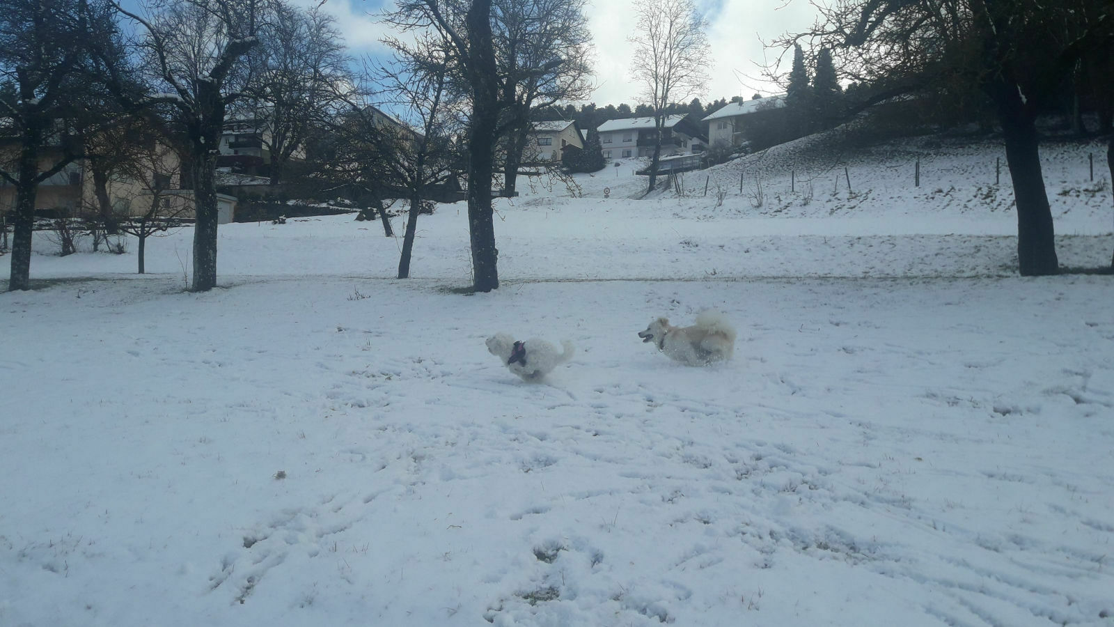 Der große 4G Community- Thread: Es regnet, es ist kalt, ich hab´den Blues - und dann sitz´ich im A6