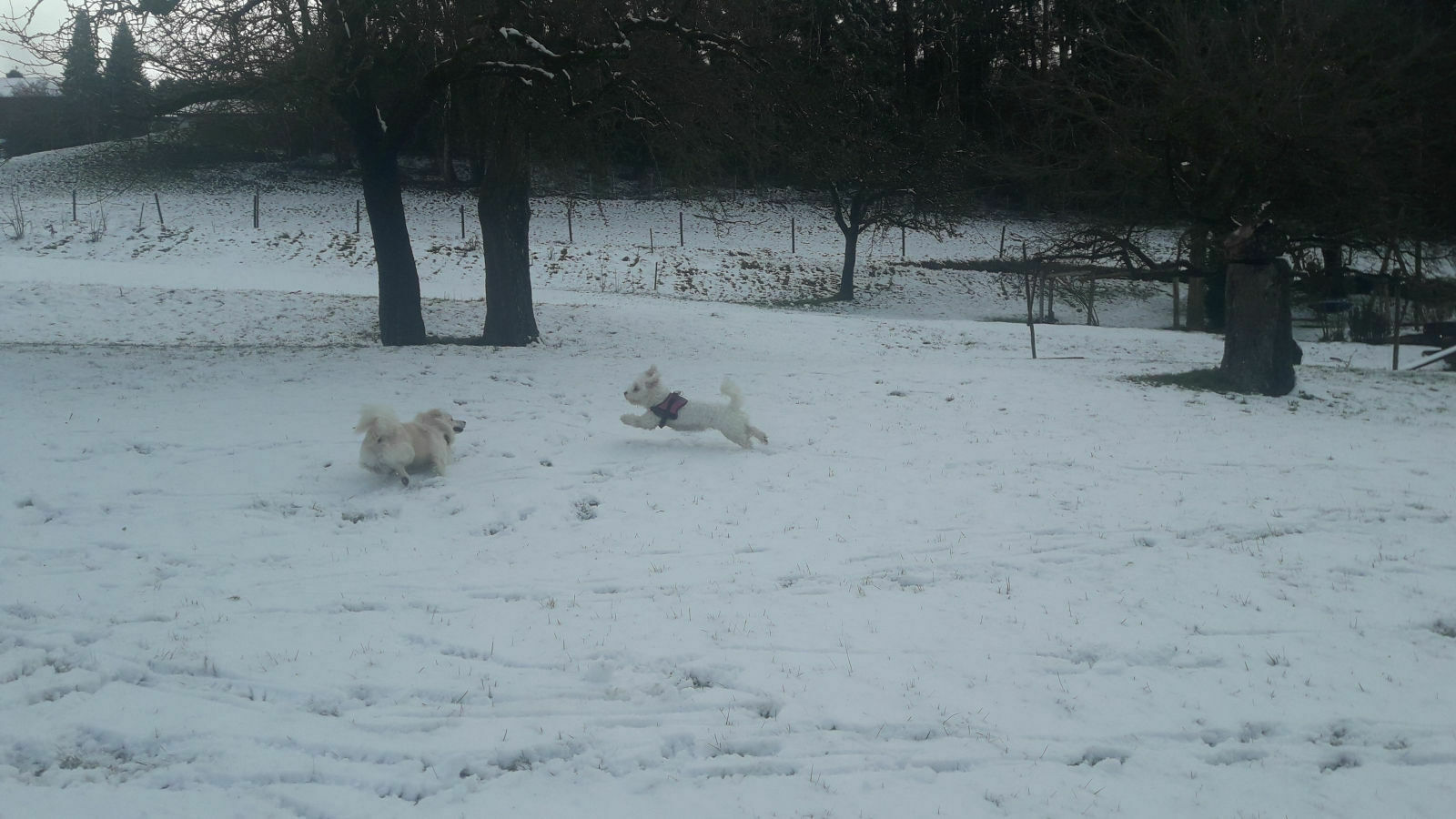 Der große 4G Community- Thread: Es regnet, es ist kalt, ich hab´den Blues - und dann sitz´ich im A6