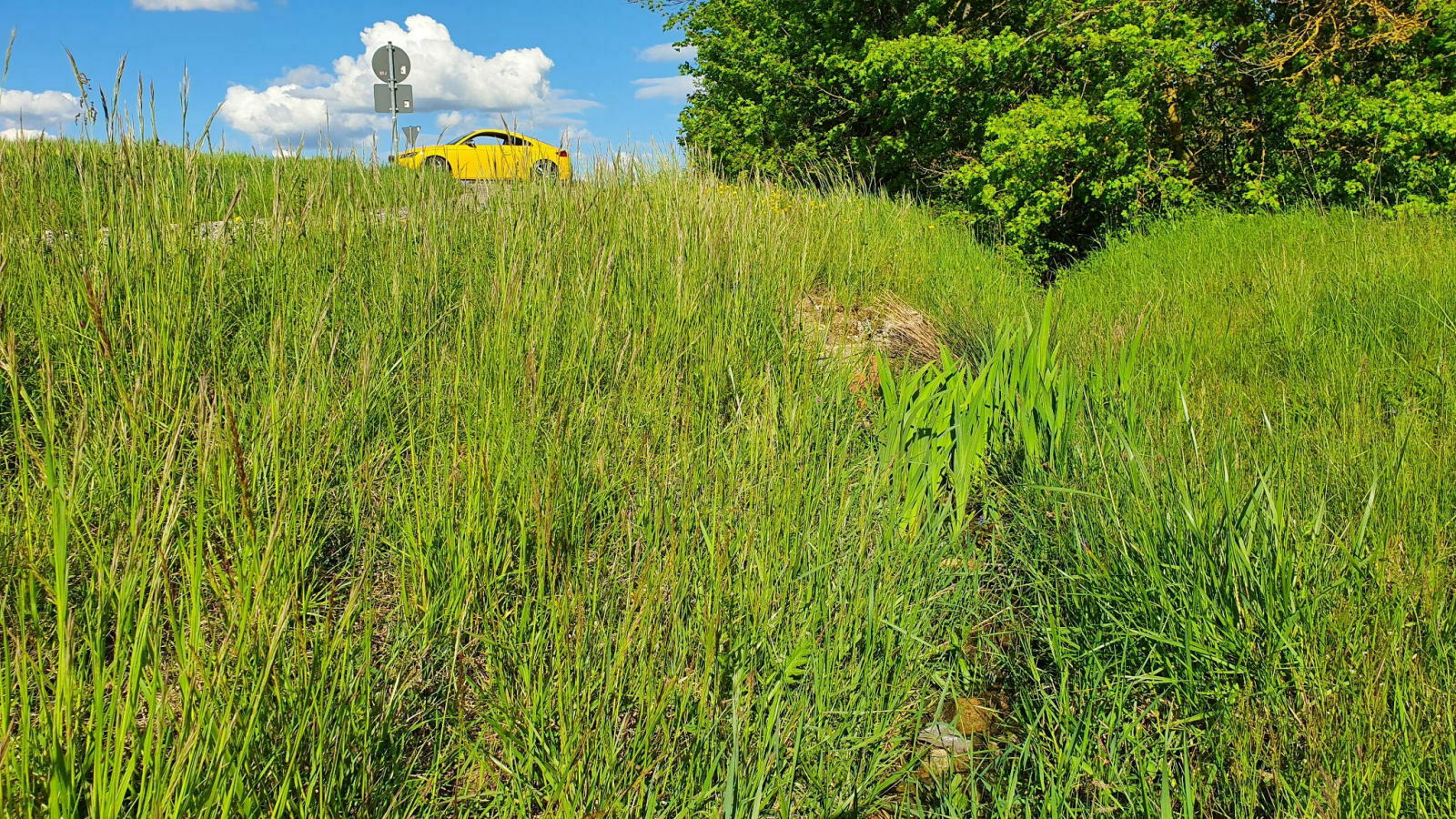 Sammelthread Audi TT/TTS/TTRS Bilder