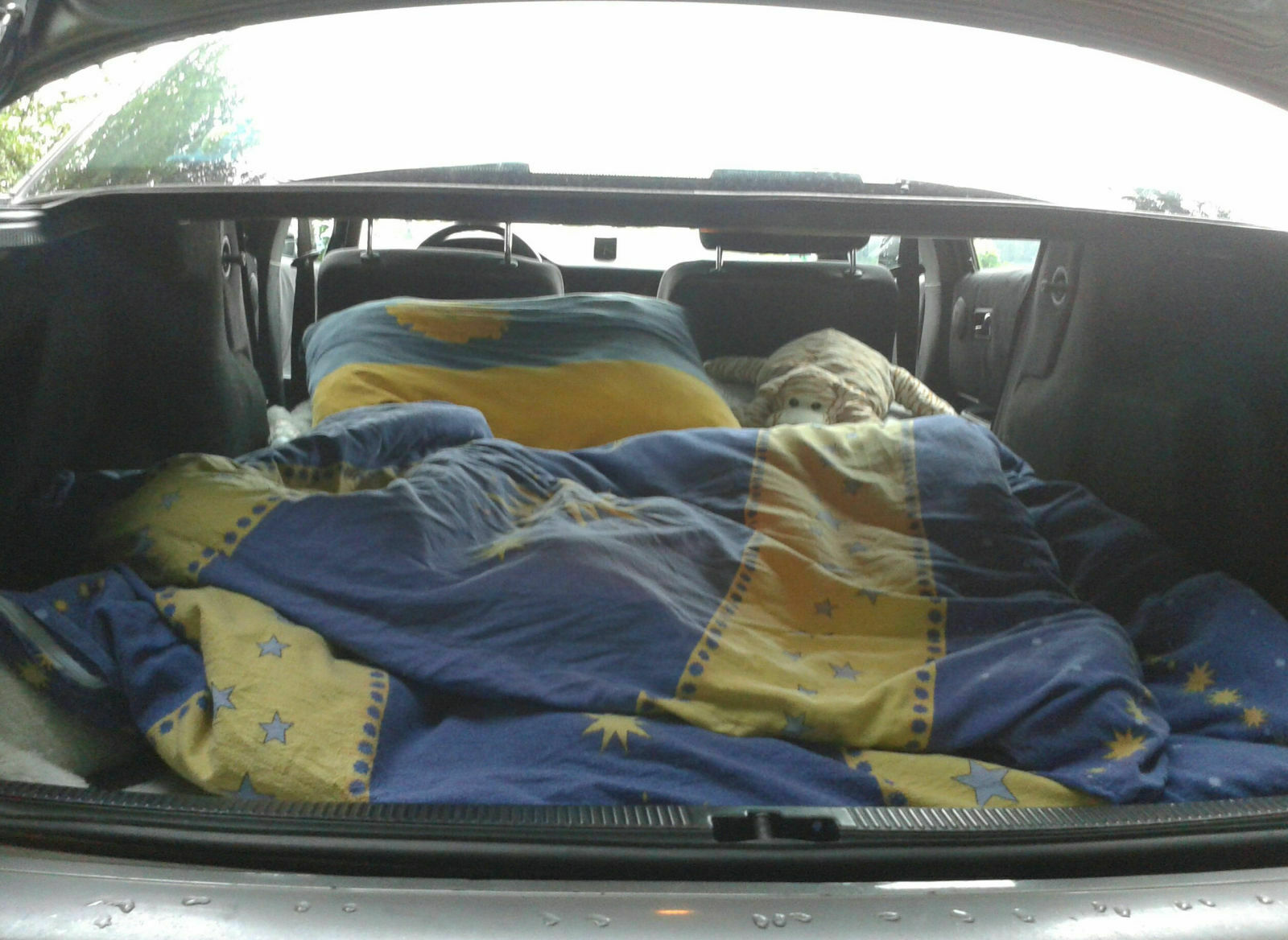 Audi 80 B4 2.0 Scheunenfund - Wiederbelebung?