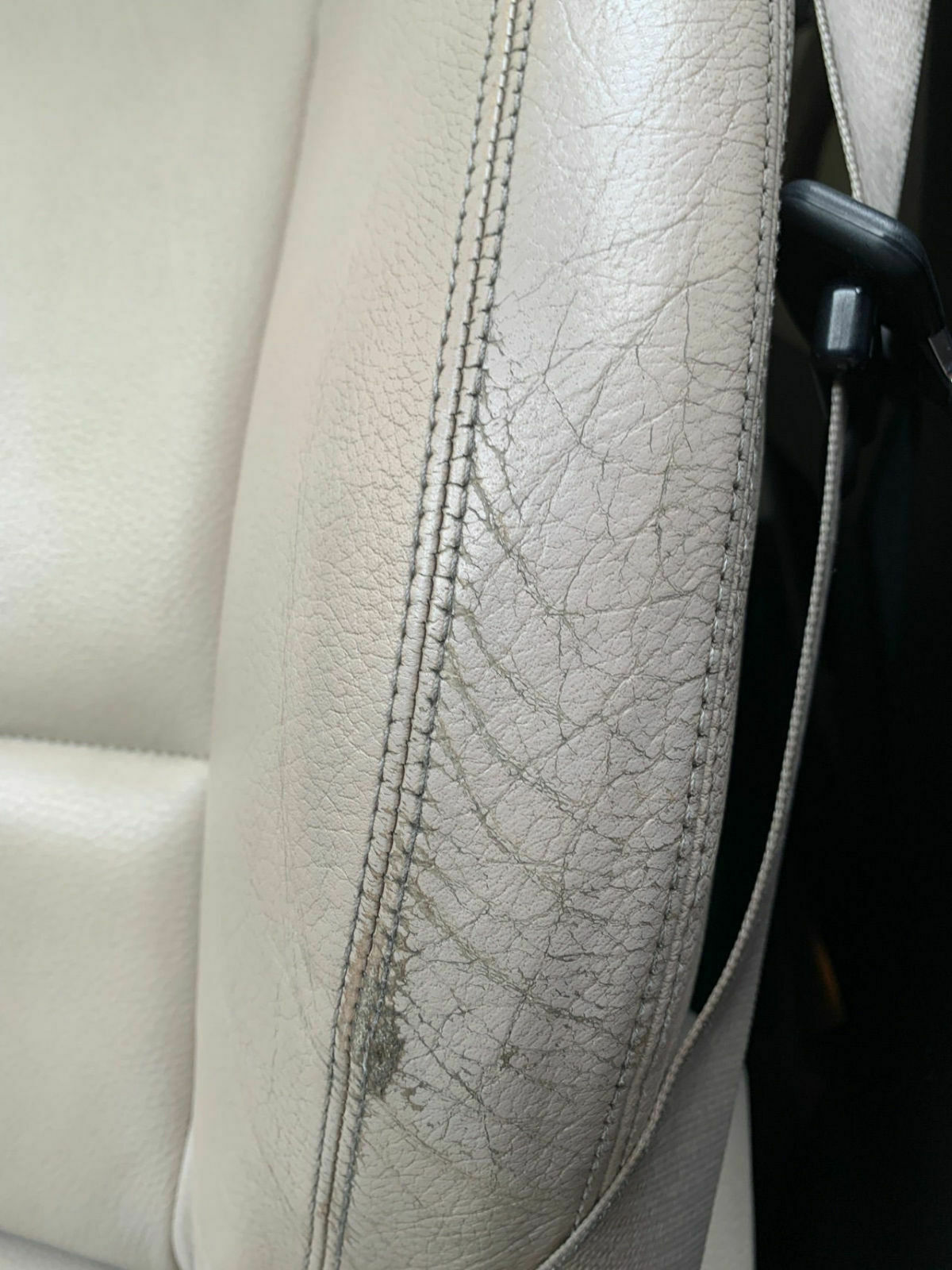 Helles Leder Oyster - Gebrauchsspuren