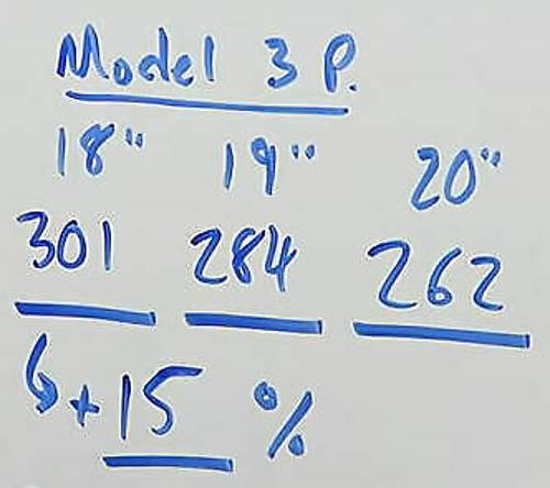 Tesla M3P 18 19 20 Zoll