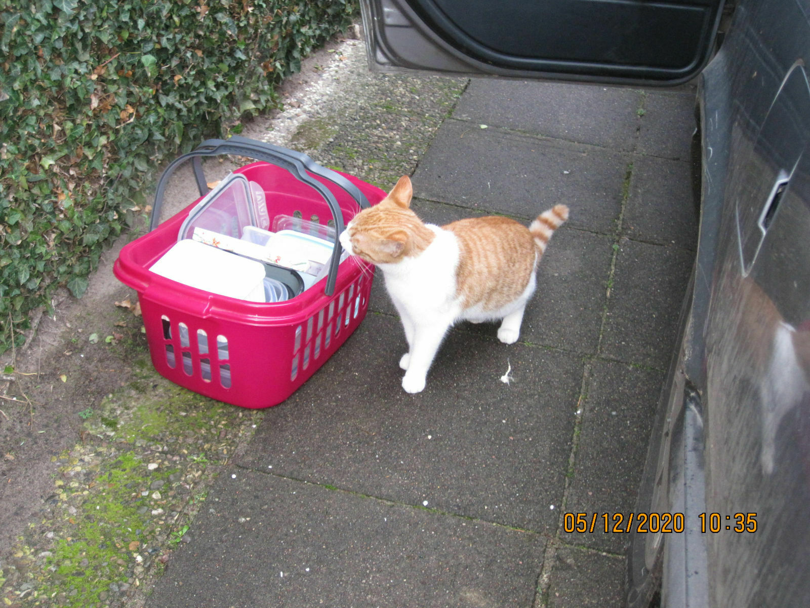 Der Schrottplatz - Spiegelsymmetrisch des Showrooms