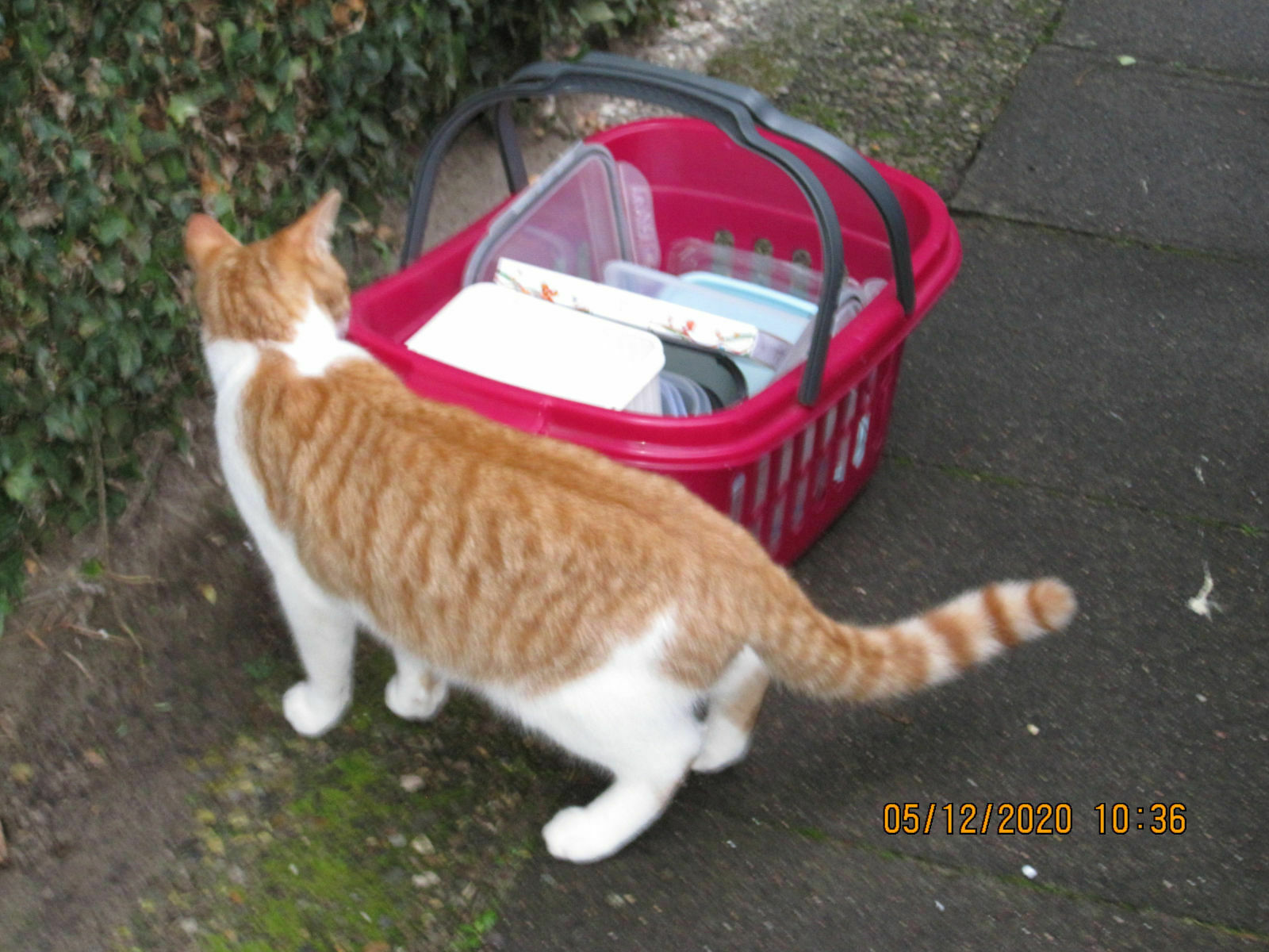 Der Schrottplatz - Spiegelsymmetrisch des Showrooms