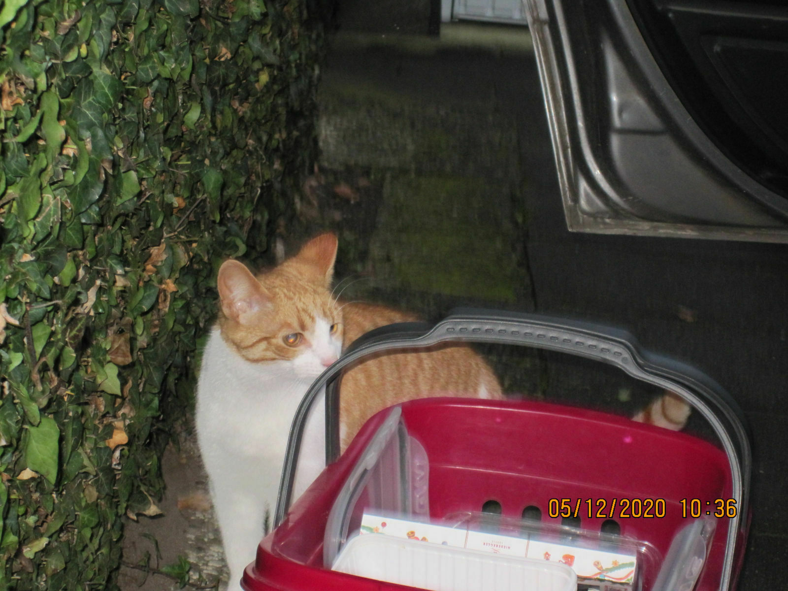 Der Schrottplatz - Spiegelsymmetrisch des Showrooms