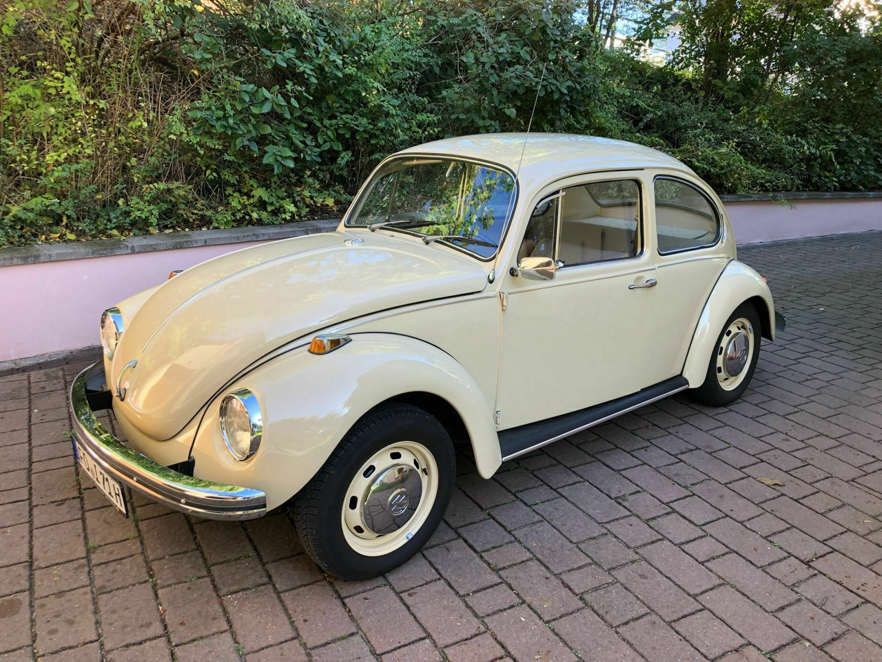 Eure schönsten Käfer-Fotos