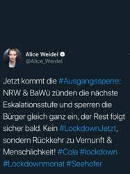 Weidel jetzt.jpg