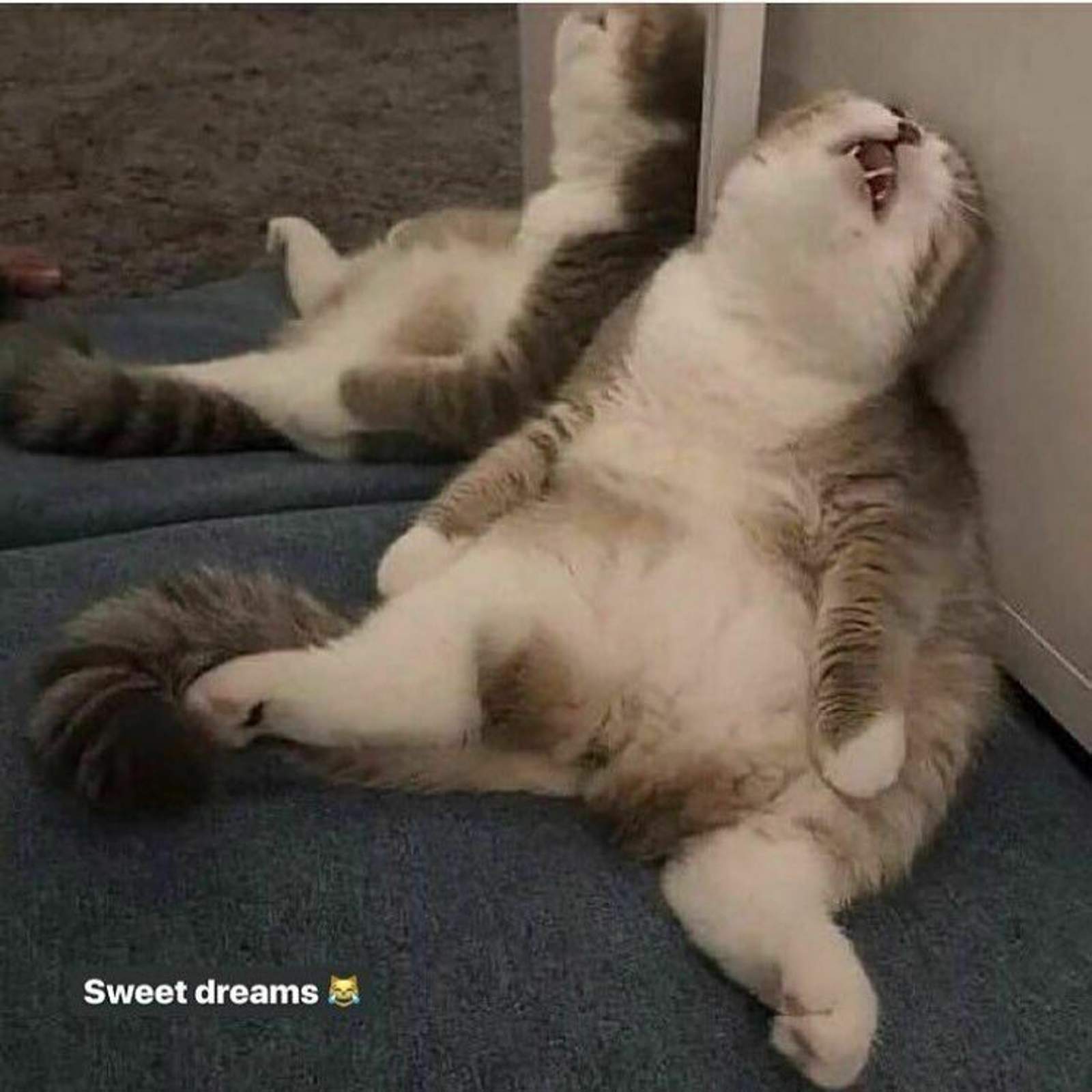 54b75dabe73770c64e1b20427d05542f