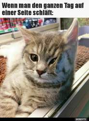 43646b2ee9714e3870316de9f17a81271437