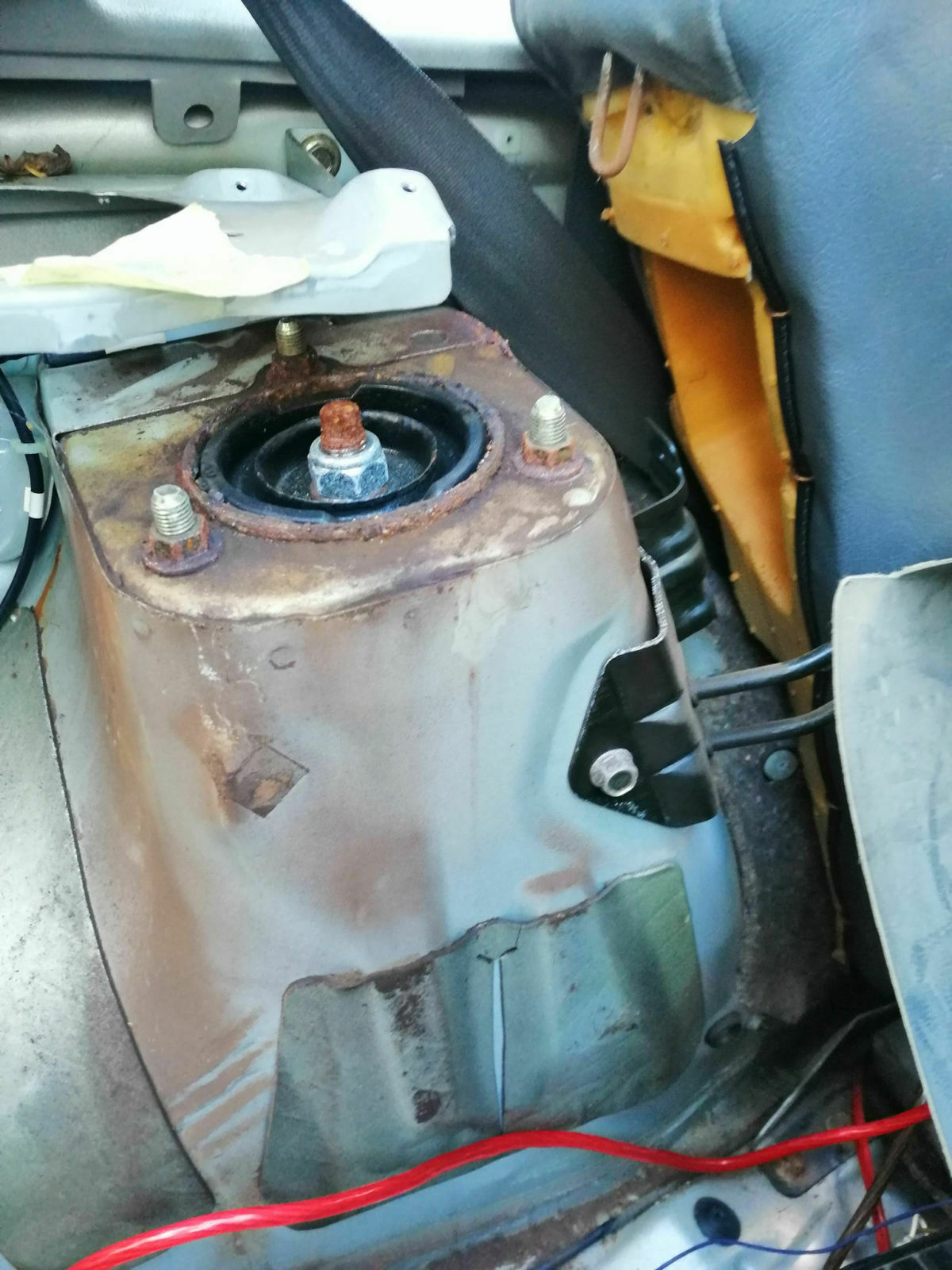 131895050-3804946709538107-534256755819449738-o