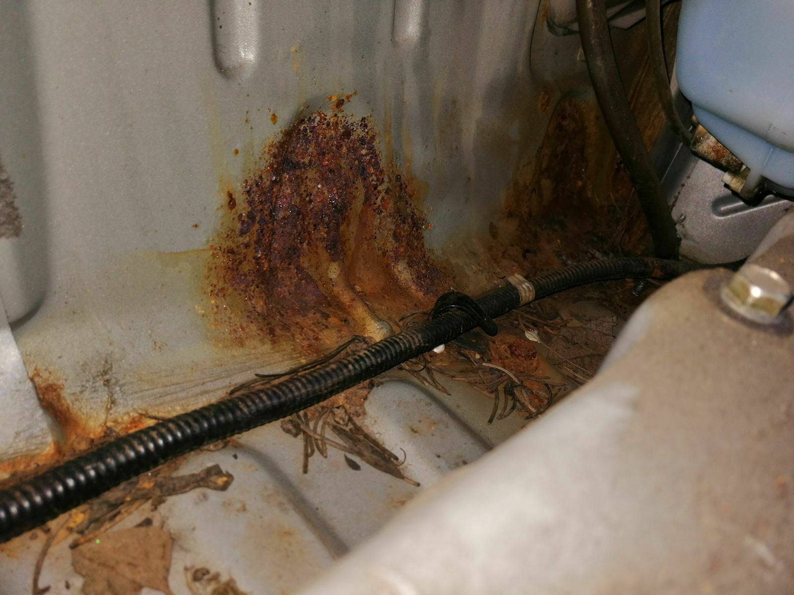 131893690-3804946089538169-932385831417299116-o