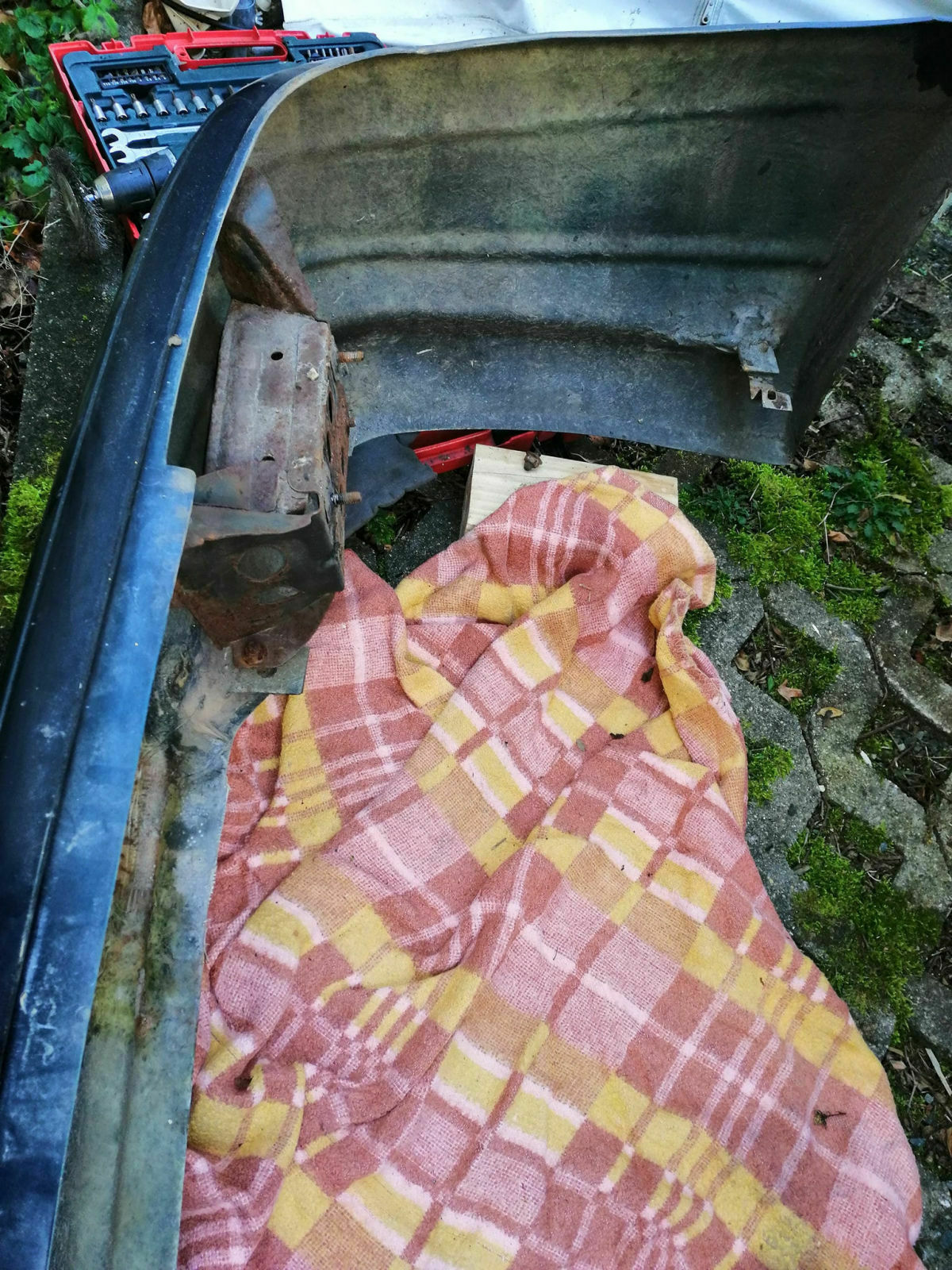 132128387-3804950856204359-384085719270277012-o