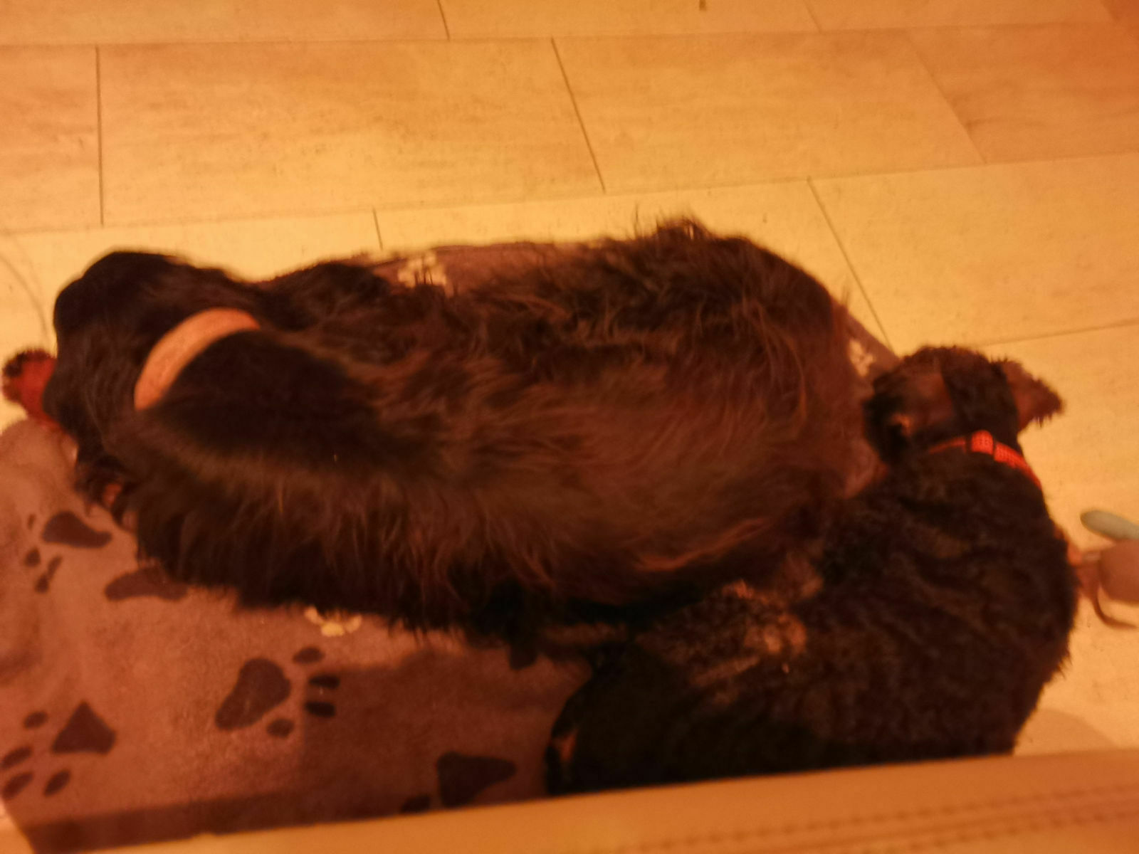 Freundin kuscheln!!!