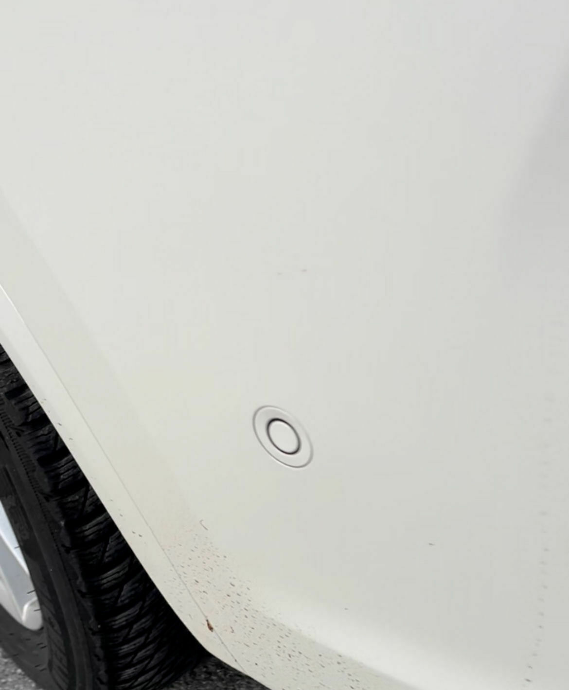 Ruckelt beim Rückwärtsfahren nach Wäsche - Signal PDC