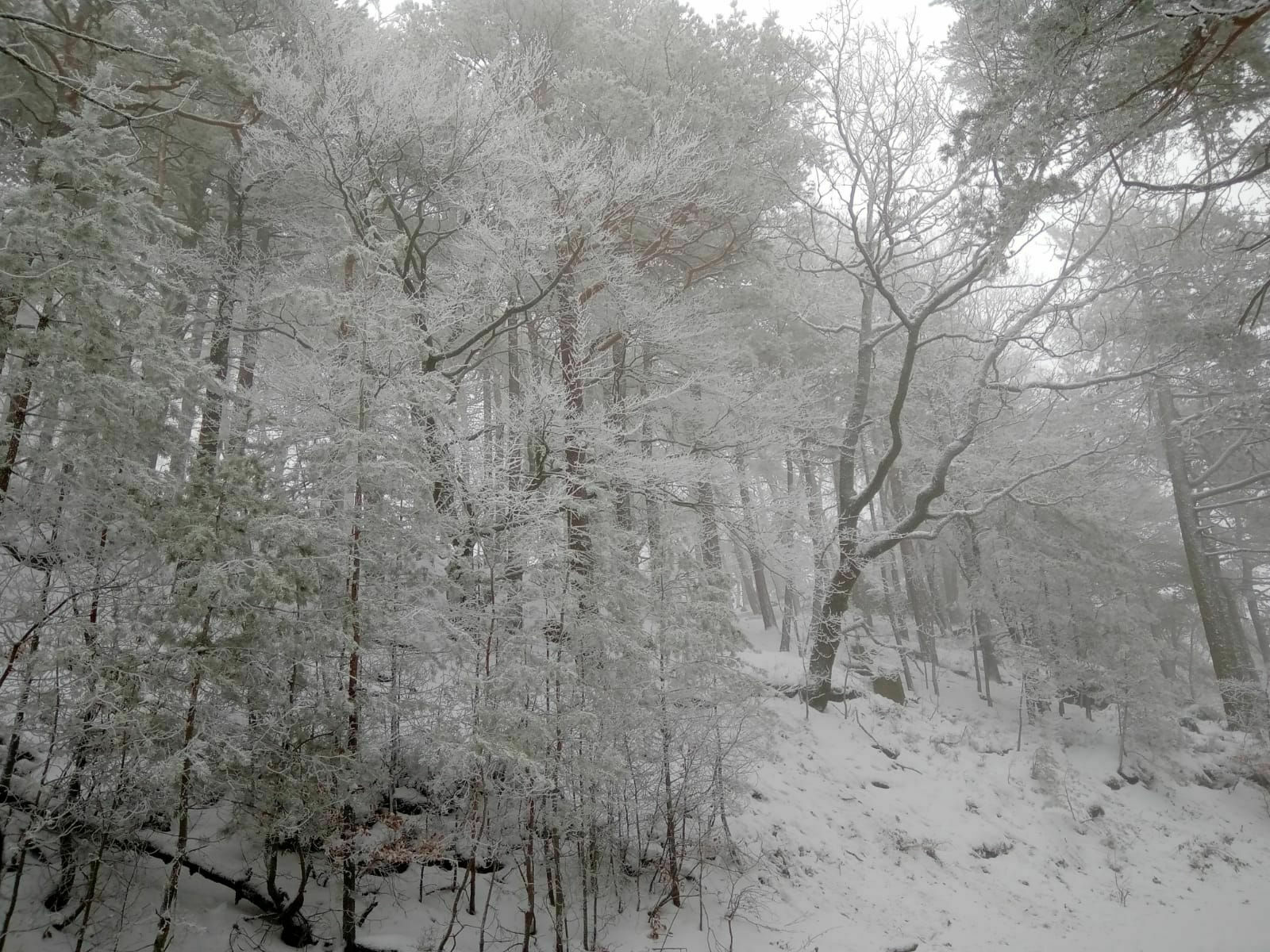 Warten auf den 1. März