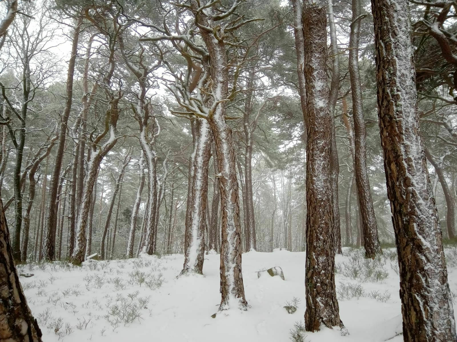 Warten auf den 1. März
