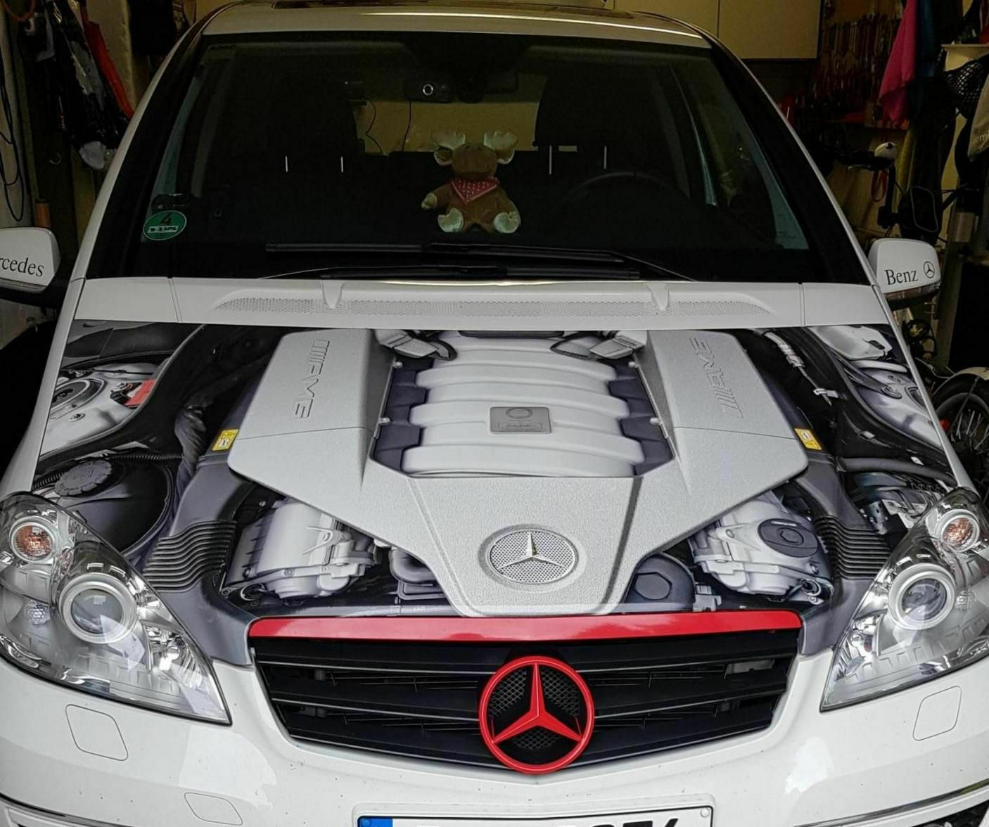 Der neue Stern meiner 2ten hälfte. Fotos eurer Lieblinge