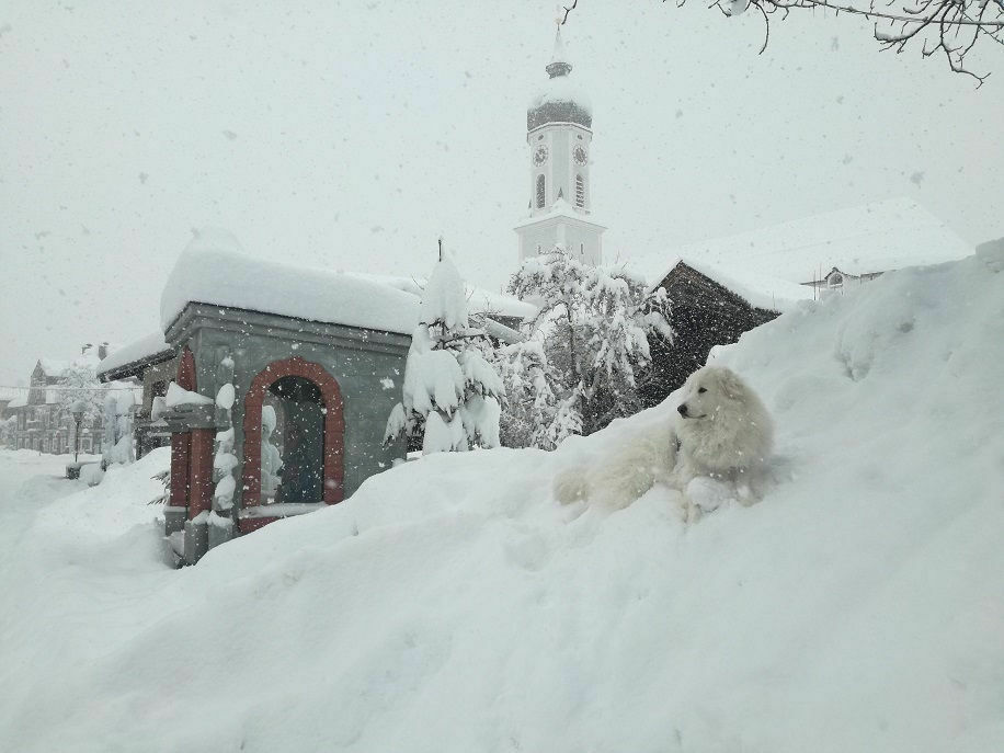 Wer hat schon Sauwetter?