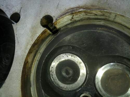 Img-20210119-140756-6