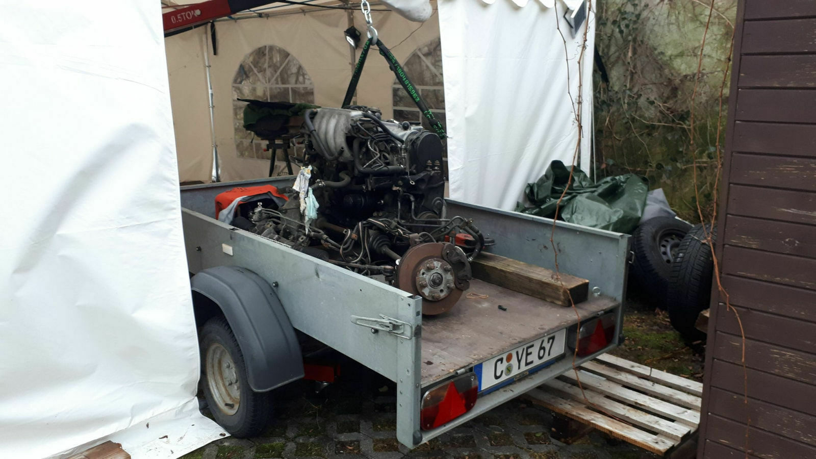 49913063-2228597510506376-4537596402347278336-o