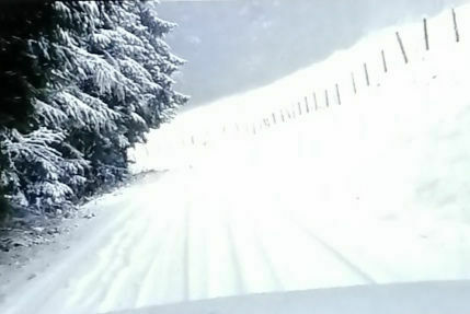 Der Schrottplatz - Spiegelsymmetrisch des Showrooms