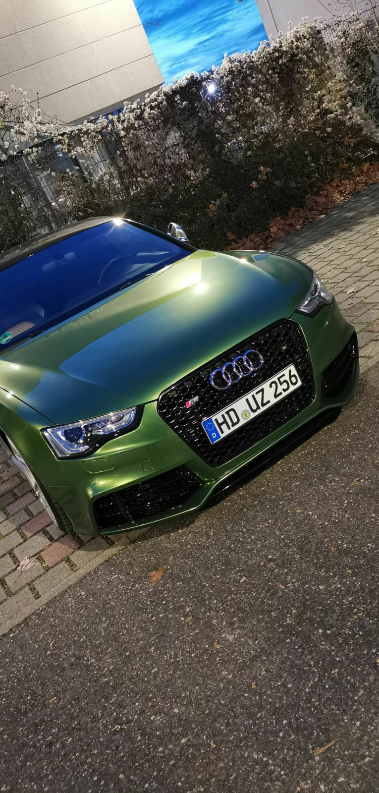 S5 3.0 TFSI Bedi Reinigung inkl. Stage 2