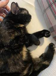 791124e0-1d14-4a2c-a3b2-22264ee47878