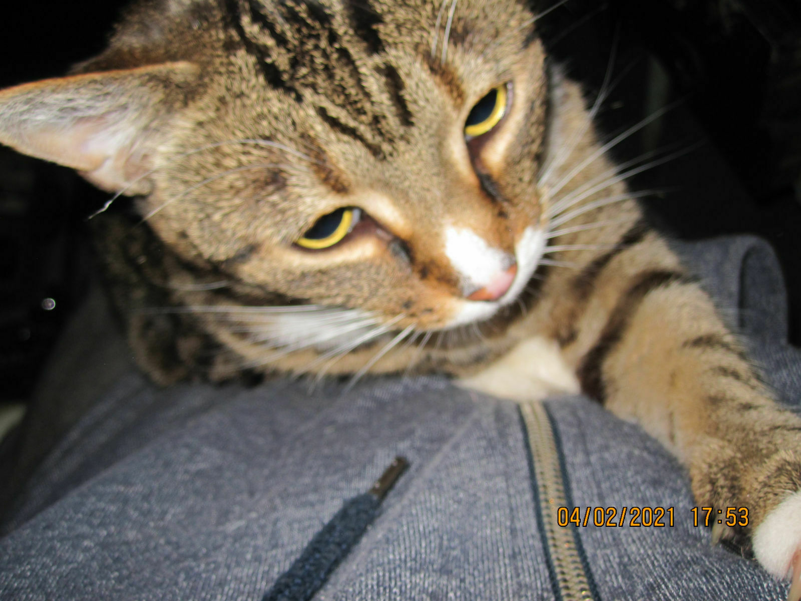 1. Artikel: Wer bin ich und was soll das hier?