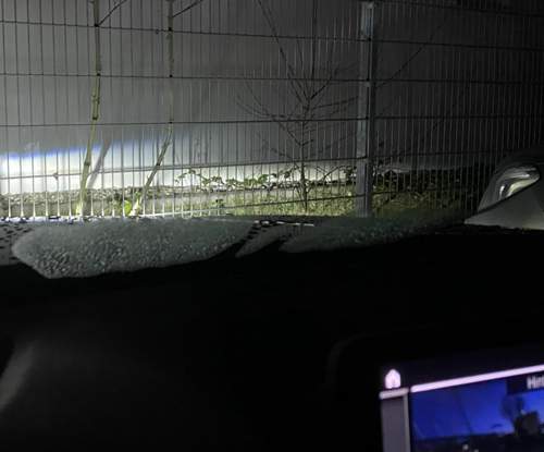 Frontscheibe innen nass