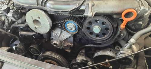 117313895-1195600560804835-4731841589579415991-n