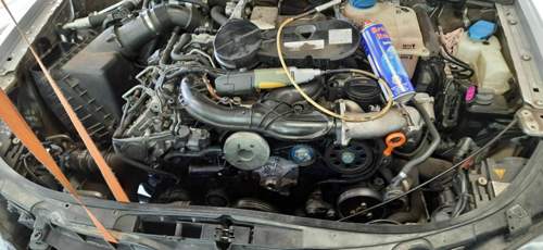 117204140-301342717612663-9135710381530285026-n